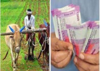 जिस MSP के नाम पर चला आंदोलन, उसी से MP में किसानों ने मुंह मोड़ा