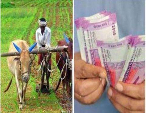 जिस MSP के नाम पर चला आंदोलन, उसी से MP में किसानों ने मुंह मोड़ा