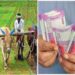 जिस MSP के नाम पर चला आंदोलन, उसी से MP में किसानों ने मुंह मोड़ा