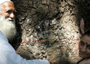 सुंदर लाल बहुगुणा: जिनके काम लोगों के ज़ेहन में हमेशा के लिए छपे रहेंगे