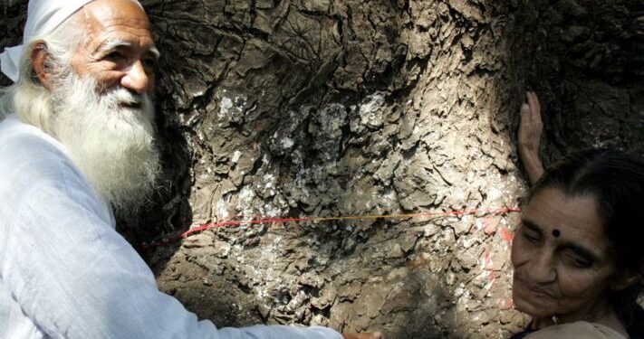 सुंदर लाल बहुगुणा: जिनके काम लोगों के ज़ेहन में हमेशा के लिए छपे रहेंगे