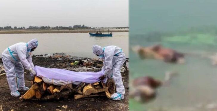बिहार: गंगा नदी में 30 लाशें मिलने से मचा हड़कंप, DM का दावा, ‘सभी शव बहकर आए’
