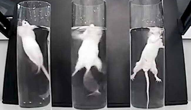 Covid के इन मुश्किल हालात में जान बचाने का एक ही रास्ता है…