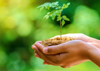 सी.एम.एस. कानपुर रोड के ‘जय जगत पार्क’ में 1 जुलाई को होगा वृक्षारोपण