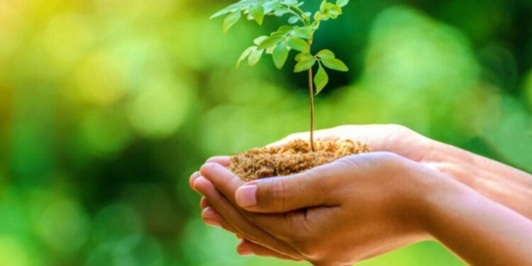 सी.एम.एस. कानपुर रोड के ‘जय जगत पार्क’ में 1 जुलाई को होगा वृक्षारोपण