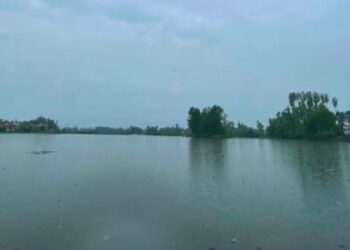 श्रीनगर: लोगों और प्रशासन की मदद से खुशालसर झील को मिली नई जिंदगी