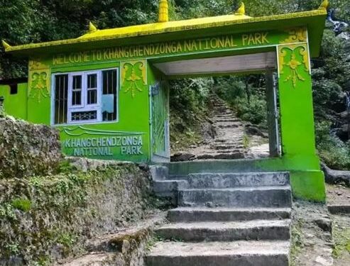 कंचनजंगा नेशनल पार्क: दुनिया की तीसरी सबसे ऊंची पर्वत चोटी पर मौजूद एक अद्भुत जगह