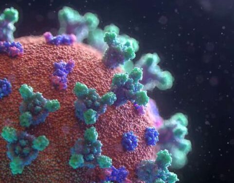 कोरोना की तीसरी लहर को लेकर विशेषज्ञों ने किया सचेत, जानें क्‍या कहा