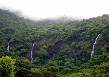 बॉम्बे हाईकोर्ट ने गोवा जलप्रपात के लिए स्थायी सड़क बिछाने पर रोक लगाई