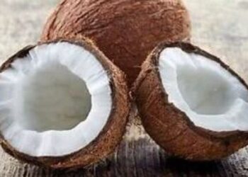 सपने में नारियल दिखने और फोड़ने के है खास संकेत