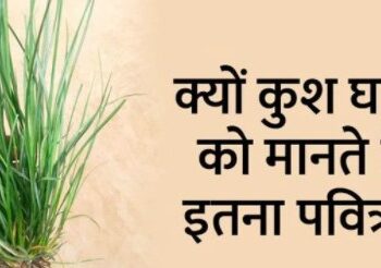 भाद्रपद अमावस्या पर तोड़ी जाती है ये पवित्र घास, शुभ कामों में होता है इसका उपयोग