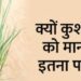 भाद्रपद अमावस्या पर तोड़ी जाती है ये पवित्र घास, शुभ कामों में होता है इसका उपयोग