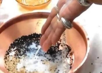 पितृ पक्ष कब से हो रहा शुरू? इन तारीखों पर होगा पूर्वजों का पिंडदान