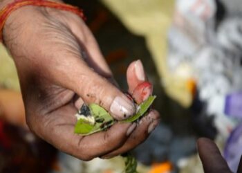 10 सितंबर से   शुरू हो रहे हैं पितृ पक्ष, जानें महत्व और तर्पण की तिथियां