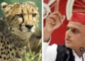 चीते की आवाज पर ट्वीट कर बुरे फंसे अखिलेश यादव, BJP क्यों बोली- सारा पैसा बर्बाद
