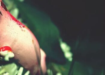 ये हैं श्रीगणेश के 10 मंत्र, किसी 1 का जाप करने से भी दूर हो सकते हैं आपके संकट