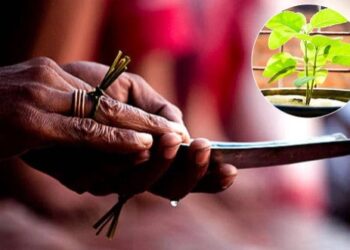 मृत्यु के वक्त ये 4 चीजें हों पास तो श्राद्ध के बिना भी मिल जाता है स्वर्ग