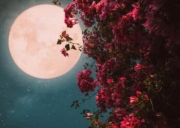 कब है पौष पूर्णिमा, जानिए तारीख, स्नान दान और पूजा का मुहूर्त