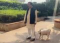 नोएडा में डॉग पॉलिसी लागू: कुत्ता पालने पर हर साल देने होंगे 500 रुपये, रजिस्ट्रेशन जरूरी
