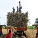 किसानों की मेहनत की कमाई पर डाका डालने वाले अधिकारियों को भेजें जेल