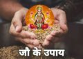 कर्ज ने छीन लिया है परिवार का सुख-चैन, तो जौ के उपाय दिलाएंगे राहत