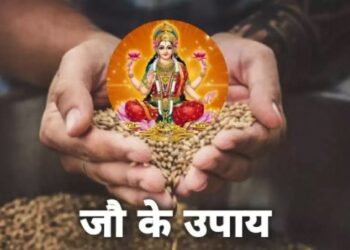 कर्ज ने छीन लिया है परिवार का सुख-चैन, तो जौ के उपाय दिलाएंगे राहत