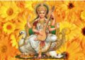 कुशाग्र बुद्धि और एकाग्रता पाने के लिए बसंत पचंमी के दिन करें ये आसान उपाय