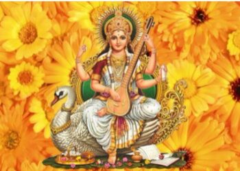 कुशाग्र बुद्धि और एकाग्रता पाने के लिए बसंत पचंमी के दिन करें ये आसान उपाय