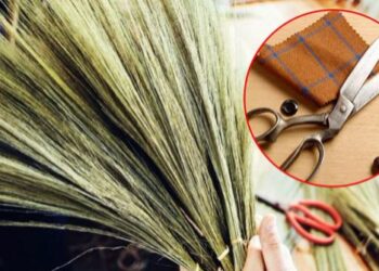 झाड़ू, कैंची, चाकू… घर की इन छोटी-छोटी चीजों से ना लें पंगा, कर देंगी बर्बाद