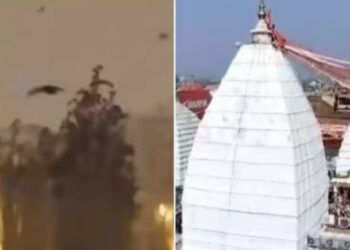 क्या जानवरों और पक्षियों को भूकंप का पहले से आभास हो जाता है, बैद्यनाथ मंदिर के पुजारी ने बताई सच्चाई