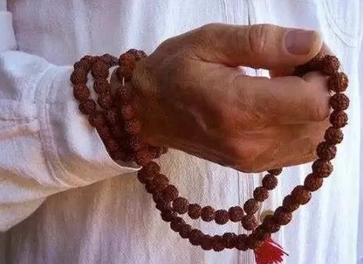 तुलसी माला धारण करते समय इन बातों का अवश्य रखें ध्यान, अन्यथा कभी नहीं होगा लाभ