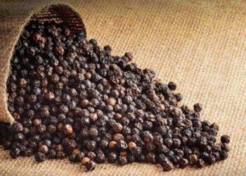 शनिवार को करें काली मिर्च का ये टोटका, झमाझम होगी पैसों की बरसात