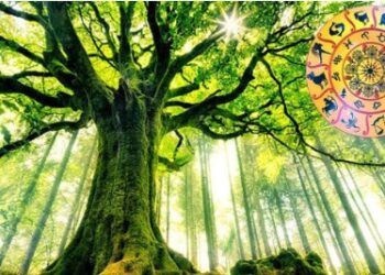 धन-दौलत के लिए घर के सामने राशिनुसार लगाएं ये पेड़-पौधे, चमकेगी किस्मत