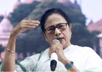 अफीम की खेती क्यों कराना चाहती हैं ममता? केंद्र नहीं दे रहा इजाजत, यहां फंसा मामला