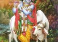 श्री कृष्णा और चौंसठ कलाएं