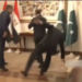 Middle East Tension: ईरान युद्ध रोकने की कोशिश में जुटा Pakistan, लेकिन क्या बिना USA-Israel के संभव है शांति?