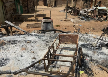 Nigeria Terrorist Attack: नाइजीरियाई गांव में बोको हराम का खूनी तांडव, 11 लोगों की हत्या और भारी आगजनी