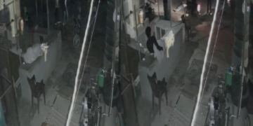 Mathura Crime News: पंचर बनाने से इनकार पर वहशीपन, घायल युवक के ऊपर चढ़ाई गाड़ी