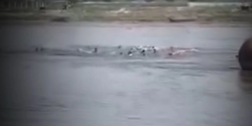 Yamuna River Accident Analysis: तेज हवाएं या प्रशासनिक चूक? Pontoon से टकराकर पलटी नाव; वृंदावन हादसे का दर्दनाक सच