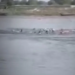 Yamuna River Accident Analysis: तेज हवाएं या प्रशासनिक चूक? Pontoon से टकराकर पलटी नाव; वृंदावन हादसे का दर्दनाक सच