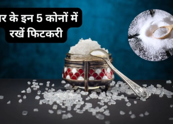 वास्तु शास्त्र में फिटकरी के बेहद चमत्कारी और अचूक उपाय: घर की हर नकारात्मक ऊर्जा को हमेशा के लिए दूर कर अपार सुख, शांति, धन-समृद्धि और बरकत लाने वाले सबसे आसान और असरदार वास्तु टिप्स