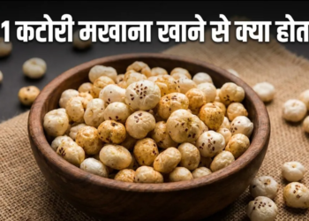 Superfood MAKHANA: रोजाना एक कटोरी मखाना खाने से सेहत को मिलेंगे कई जादुई फायदे