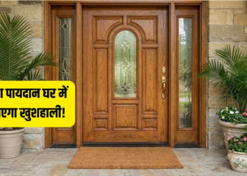 वास्तु शास्त्र में मुख्य द्वार के पायदान का रहस्य: सुख, समृद्धि और भाग्य को जाग्रत करने वाले अचूक नियम