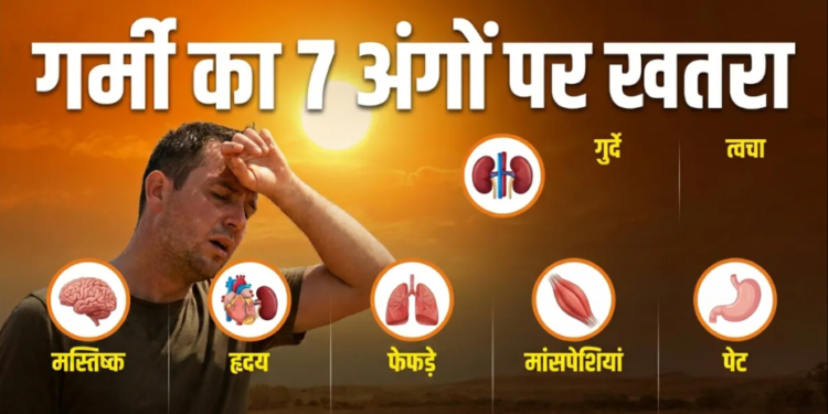 भीषण गर्मी और नौतपा के भयंकर प्रकोप से उबलते भारत में हीट साइटोटॉक्सिसिटी का बढ़ा जानलेवा खतरा: जानिए  शरीर के 7 मुख्य अंगों को डैमेज होने से बचाने के अचूक आयुर्वेदिक उपाय, डाइट प्लान और नसों को मजबूत बनाने के तरीके