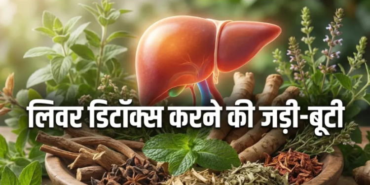 खराब लाइफस्टाइल और खानपान से सुस्त पड़े लिवर को डिटॉक्स करने के अचूक आयुर्वेदिक उपाय, जानिए मई का महीना क्यों है इसके लिए सबसे खास