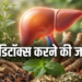 खराब लाइफस्टाइल और खानपान से सुस्त पड़े लिवर को डिटॉक्स करने के अचूक आयुर्वेदिक उपाय, जानिए मई का महीना क्यों है इसके लिए सबसे खास