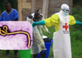 Congo के Ituri प्रांत में Ebola का कहर: सैकड़ों संदिग्ध मामलों से हड़कंप