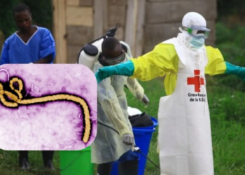 Congo के Ituri प्रांत में Ebola का कहर: सैकड़ों संदिग्ध मामलों से हड़कंप