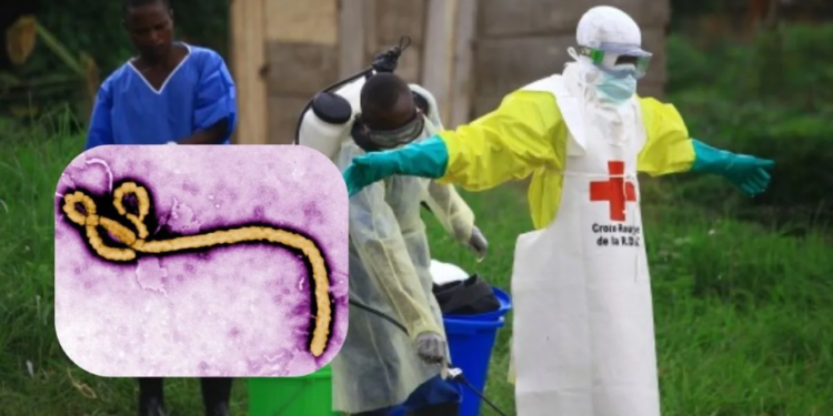 Congo के Ituri प्रांत में Ebola का कहर: सैकड़ों संदिग्ध मामलों से हड़कंप