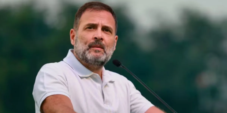 Allahabad High Court ने Simran Gupta की याचिका की खारिज, Rahul Gandhi को कानूनी राहत